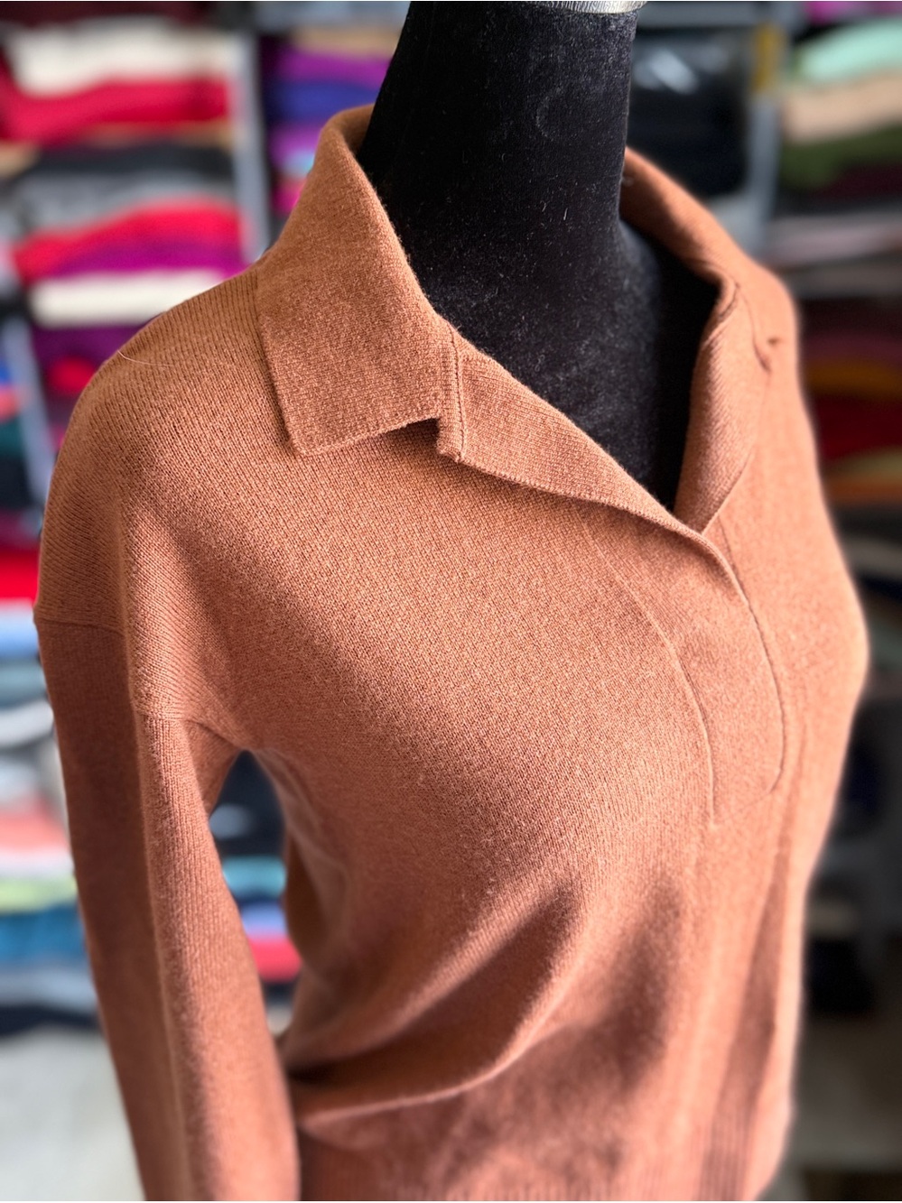 Everlane Women's Collared V-Neck Cashmere Sweater - Rust